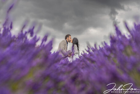 The happy couple kissing amidst the lavender in Hitchin.