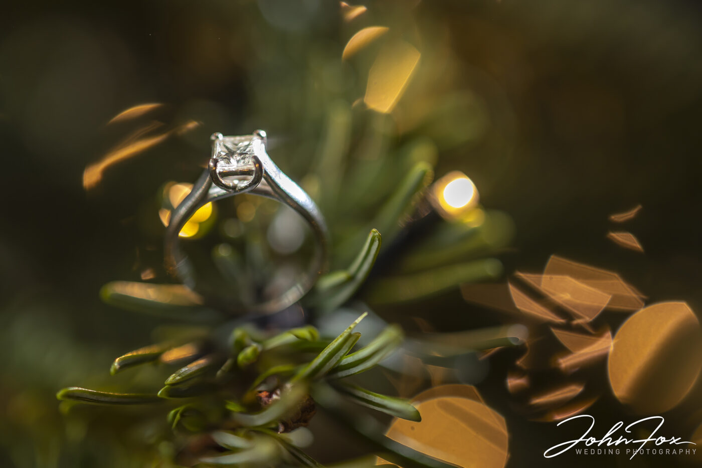 Planning a Wedding? Engagement ring in Christmas tree with fairy lights. Meet John at Whittlebury Park’s Wedding Showcase
