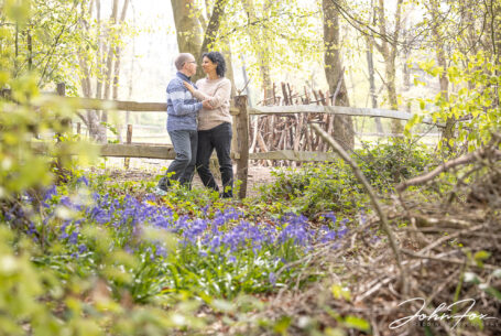 Pre-Wedding Shoot in woodland showing bluebells in the foreground