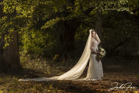 Bride in woodland and bathed in sunlight. Photo by John Fox Wedding Photography.