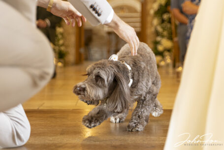 Gabrielle and William’s dog carried the rings up the aisle in a pouch. Image by John Fox Wedding Photography.
