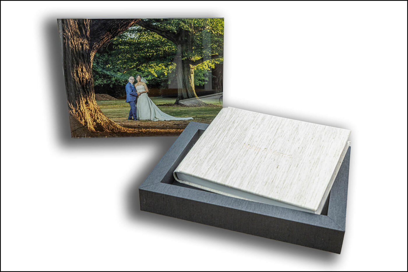 Nisha and Marco's Putteridge Bury Wedding Album.