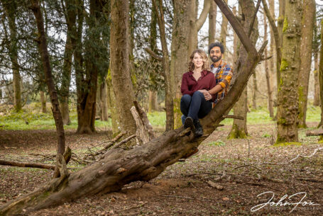 Woodland pre-wedding shoot: bride and groom-to-be Isobel and Roshan sat in a tree