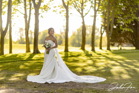 Figan in the grounds at Abbey Hill Golf Centre with sunlight streaming through the trees behind her