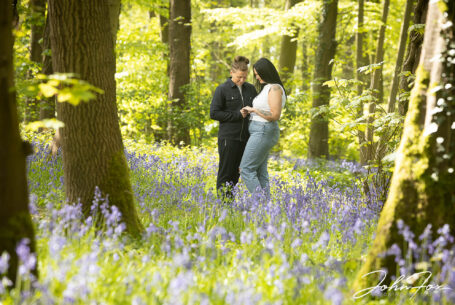 Jody and Beth looking at their engagement rings while standing among the bluebells in Warwickshire woodland.