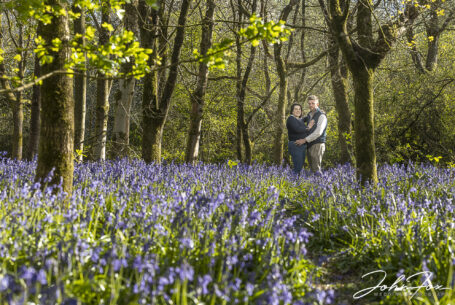Pre-wedding image in Leicestershire woodland of the bride and groom to be, Paige and Reece, amongst the trees and bluebells. Wedding Photographer covering Leicestershire, John Fox.